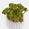 Artificial succulent Succulent plants in Cement pot GS-51724030_2 Artificial succulent 12*12*14cm Succulent plants in Cement pot GS-51724030 2024Oct YeahFlower is one of Chinese leading OEM manufacturers and exporters , supplying the silk flowers, wholesale artificial trees