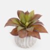 Artificial succulent 16*16*14cm Succulent plants in cemnet pot GS-51724029 2024Oct YeahFlower is one of Chinese leading OEM manufacturers and exporters , supplying the silk flowers, wholesale artificial trees