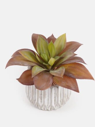 Artificial succulent 12*12*14cm Succulent plants in Cement pot GS-51724030 Succulent 3,000+ sqm showroom with thousands of artificial flowers, plants & trees ready for global sourcing.