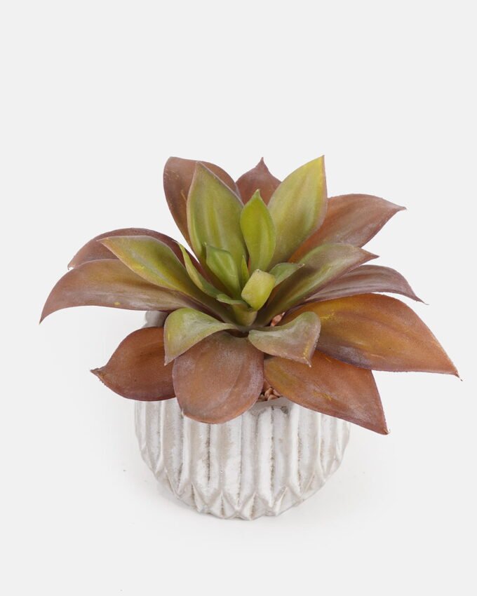 Artificial succulent 16*16*14cm Succulent plants in cemnet pot GS-51724029 2024Oct YeahFlower is one of Chinese leading OEM manufacturers and exporters , supplying the silk flowers, wholesale artificial trees