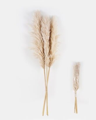 Dried Flowers 23*23*150cm Dried natural plant *3 single stem GS-56624047 2024Oct YeahFlower is one of Chinese leading OEM manufacturers and exporters , supplying the silk flowers, wholesale artificial trees Dried Flowers 23*23*150cm Dried natural plant *3 single stem GS-56624047 2024Oct YeahFlower is one of Chinese leading OEM manufacturers and exporters , supplying the silk flowers, wholesale artificial trees