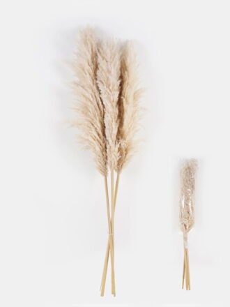 Dried Flowers 19*200cm Dried natural plant single stem GS-56624042 Dried Flowers 3,000+ sqm showroom with thousands of artificial flowers, plants & trees ready for global sourcing.
