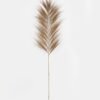 Dried Flowers 50*150cm Dried natural plant single stem GS-56624035 Dried Flowers 3,000+ sqm showroom with thousands of artificial flowers, plants & trees ready for global sourcing.
