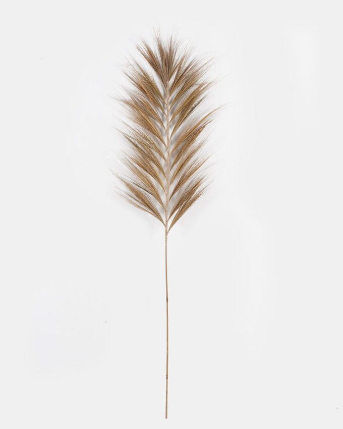 Dried Flowers 50*150cm Dried natural plant single stem GS-56624035 Dried Flowers 3,000+ sqm showroom with thousands of artificial flowers, plants & trees ready for global sourcing.