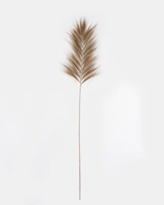 Dried Flowers 50*200cm Dried natural plant single stem GS-56624036 2024Oct YeahFlower is one of Chinese leading OEM manufacturers and exporters , supplying the silk flowers, wholesale artificial trees Dried Flowers 50*200cm Dried natural plant single stem GS-56624036 2024Oct YeahFlower is one of Chinese leading OEM manufacturers and exporters , supplying the silk flowers, wholesale artificial trees