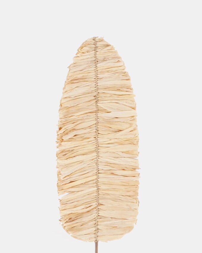 Dried Flowers 19*150cm Dried natural plant single stem GS-56624041 2024Oct YeahFlower is one of Chinese leading OEM manufacturers and exporters , supplying the silk flowers, wholesale artificial trees