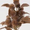 Artificial Branch fruit 20*20*37cm Dandelion*4  bundle GS-51624037-K1 2025Jan YeahFlower is one of Chinese leading OEM manufacturers and exporters , supplying the silk flowers, wholesale artificial trees