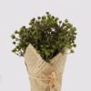 Artificial Flower 17*17*24 cm Babysbreath potted flower GS-05524082-G1 2024Dec YeahFlower is one of Chinese leading OEM manufacturers and exporters , supplying the silk flowers, wholesale artificial trees