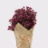 Artificial Flower 17*17*24 cm Babysbreath potted flower GS-05524082-R1 2024Dec YeahFlower is one of Chinese leading OEM manufacturers and exporters , supplying the silk flowers, wholesale artificial trees