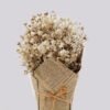 Artificial Flower 17*17*24 cm Babysbreath potted flower GS-05524082-W1 Potted Flowers&Plants 3,000+ sqm showroom with thousands of artificial flowers, plants & trees ready for global sourcing.
