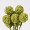 Artificial Flower 11*11*30cm Craspedia globosa *9 bundle GS-51624015-G1 2025Jan YeahFlower is one of Chinese leading OEM manufacturers and exporters , supplying the silk flowers, wholesale artificial trees