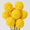Artificial Flower 11*11*30cm Craspedia globosa *9 bundle GS-51624015-Y1 2025Jan YeahFlower is one of Chinese leading OEM manufacturers and exporters , supplying the silk flowers, wholesale artificial trees