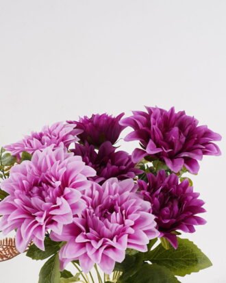 Artificial Flower 30*30*49cm Dahlia *9 bush GS-62424007-Z2 2025Jan YeahFlower is one of Chinese leading OEM manufacturers and exporters , supplying the silk flowers, wholesale artificial trees Artificial Flower 30*30*49cm Dahlia *9 bush GS-62424007-Z2 2025Jan YeahFlower is one of Chinese leading OEM manufacturers and exporters , supplying the silk flowers, wholesale artificial trees