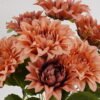 Artificial Flower 30*30*49cm Dahlia *9 bush GS-62424007 2025Jan YeahFlower is one of Chinese leading OEM manufacturers and exporters , supplying the silk flowers, wholesale artificial trees
