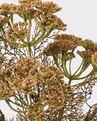 Artificial Flower 23*23*42cm Flower *5 bush GS-54024060 2025Jan YeahFlower is one of Chinese leading OEM manufacturers and exporters , supplying the silk flowers, wholesale artificial trees Artificial Flower 23*23*42cm Flower *5 bush GS-54024060 2025Jan YeahFlower is one of Chinese leading OEM manufacturers and exporters , supplying the silk flowers, wholesale artificial trees