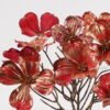 Artificial Flower 30*30*44cm Flower *6 bouquet GS-35124022-R1 2024Dec YeahFlower is one of Chinese leading OEM manufacturers and exporters , supplying the silk flowers, wholesale artificial trees