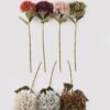 Artificial Flower 19*19*75cm Hydrangea *18 single stem GS-15424039 2024Dec YeahFlower is one of Chinese leading OEM manufacturers and exporters , supplying the silk flowers, wholesale artificial trees