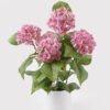 Artificial Flower 35*35*50cm Hydrangea in PP pot GS-15424037-P1 2024Dec YeahFlower is one of Chinese leading OEM manufacturers and exporters , supplying the silk flowers, wholesale artificial trees