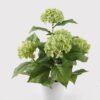 Artificial Flower 35*35*50cm Hydrangea in PP pot GS-15424037 2024Dec YeahFlower is one of Chinese leading OEM manufacturers and exporters , supplying the silk flowers, wholesale artificial trees