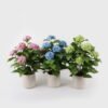 Artificial Flower 45*45*68cm Hydrangea in PP pot GS-15424038 2024Dec YeahFlower is one of Chinese leading OEM manufacturers and exporters , supplying the silk flowers, wholesale artificial trees