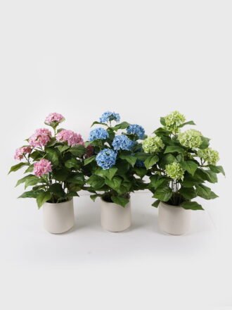 Artificial Flower 35*35*50cm Hydrangea in PP pot GS-15424037-P1 Potted Flowers&Plants 3,000+ sqm showroom with thousands of artificial flowers, plants & trees ready for global sourcing.