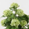 Artificial Flower 45*45*68cm Hydrangea in PP pot GS-15424038 2024Dec YeahFlower is one of Chinese leading OEM manufacturers and exporters , supplying the silk flowers, wholesale artificial trees