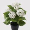 Artificial Flower 35*35*50cm Hydrangea in PP pot GS-15424040 2024Dec YeahFlower is one of Chinese leading OEM manufacturers and exporters , supplying the silk flowers, wholesale artificial trees