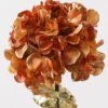 Artificial Flower Hydrangea single stem GS-35124009_2 Artificial Flower 19*75cm Hydrangea single stem GS-35124009 2024Dec YeahFlower is one of Chinese leading OEM manufacturers and exporters , supplying the silk flowers, wholesale artificial trees