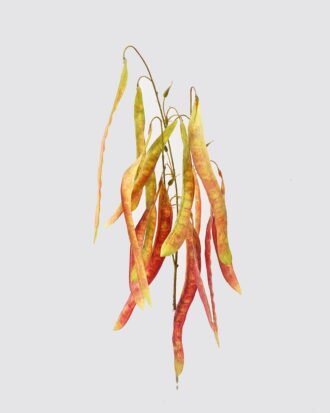 Artificial Flower 40*40*87cm Lentil single stem GS-39124019-Y1 2024Dec YeahFlower is one of Chinese leading OEM manufacturers and exporters , supplying the silk flowers, wholesale artificial trees