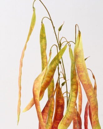 Artificial Flower 40*40*87cm Lentil single stem GS-39124019-Y1 2024Dec YeahFlower is one of Chinese leading OEM manufacturers and exporters , supplying the silk flowers, wholesale artificial trees