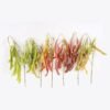 Artificial Flower 40*40*87cm Lentil single stem GS-39124019 2024Dec YeahFlower is one of Chinese leading OEM manufacturers and exporters , supplying the silk flowers, wholesale artificial trees