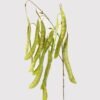 Artificial Flower 40*40*87cm Lentil single stem GS-39124019 2024Dec YeahFlower is one of Chinese leading OEM manufacturers and exporters , supplying the silk flowers, wholesale artificial trees