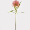 Artificial Flower 14*14*52cm Leucospermum  single stem GS-72524003-P2 2025Feb YeahFlower is one of Chinese leading OEM manufacturers and exporters , supplying the silk flowers, wholesale artificial trees