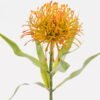 Artificial Flower 14*14*52cm Leucospermum  single stem GS-72524003-Y1 2025Feb YeahFlower is one of Chinese leading OEM manufacturers and exporters , supplying the silk flowers, wholesale artificial trees