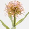 Artificial Flower Leucospermum single stem GS-72524003_2 Artificial Flower 14*14*52cm Leucospermum single stem GS-72524003 2025Feb YeahFlower is one of Chinese leading OEM manufacturers and exporters , supplying the silk flowers, wholesale artificial trees