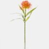 Artificial Flower Leucospermum single stem GS-72524003_4 Artificial Flower 14*14*52cm Leucospermum single stem GS-72524003 2025Feb YeahFlower is one of Chinese leading OEM manufacturers and exporters , supplying the silk flowers, wholesale artificial trees