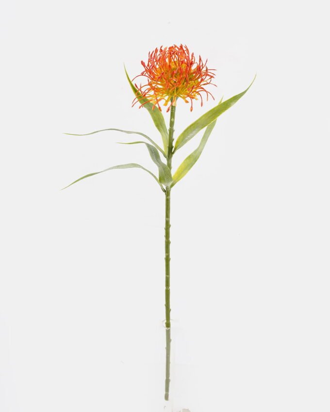 Artificial Flower Leucospermum single stem GS-72524003_4 Artificial Flower 14*14*52cm Leucospermum single stem GS-72524003 2025Feb YeahFlower is one of Chinese leading OEM manufacturers and exporters , supplying the silk flowers, wholesale artificial trees