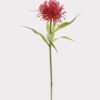 Artificial Flower Leucospermum single stem GS-72524003_5 Artificial Flower 14*14*52cm Leucospermum single stem GS-72524003 2025Feb YeahFlower is one of Chinese leading OEM manufacturers and exporters , supplying the silk flowers, wholesale artificial trees