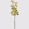 Artificial Flower 18*18*66cm Olive leaf single stem GS-39124023 2024Dec YeahFlower is one of Chinese leading OEM manufacturers and exporters , supplying the silk flowers, wholesale artificial trees
