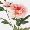 Artificial Flower Peony 2 single stem GS-76824001-W2_5 Artificial Flower 20*20*66cm Peony *2 single stem GS-76824001-W2 2025Feb YeahFlower is one of Chinese leading OEM manufacturers and exporters , supplying the silk flowers, wholesale artificial trees