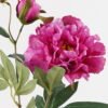 Artificial Flower 20*20*66cm Peony *2 single stem GS-76824001-Z1 2025Feb YeahFlower is one of Chinese leading OEM manufacturers and exporters , supplying the silk flowers, wholesale artificial trees