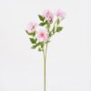 Artificial Flower Peony 6 single stem GS-76824012_6 Artificial Flower 17*17*62cm Peony *6 single stem GS-76824012 2025Feb YeahFlower is one of Chinese leading OEM manufacturers and exporters , supplying the silk flowers, wholesale artificial trees