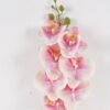 Artificial Flower Phalaenopsis 7 Single stem GS-64924019-P2_4 Artificial Flower 17*17*72cm Phalaenopsis *7 Single stem GS-64924019-P2 2025Jan YeahFlower is one of Chinese leading OEM manufacturers and exporters , supplying the silk flowers, wholesale artificial trees