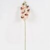 Artificial Flower Phalaenopsis 7 Single stem GS-64924019-W3_2 Artificial Flower 17*17*72cm Phalaenopsis *7 Single stem GS-64924019-W3 2025Jan YeahFlower is one of Chinese leading OEM manufacturers and exporters , supplying the silk flowers, wholesale artificial trees