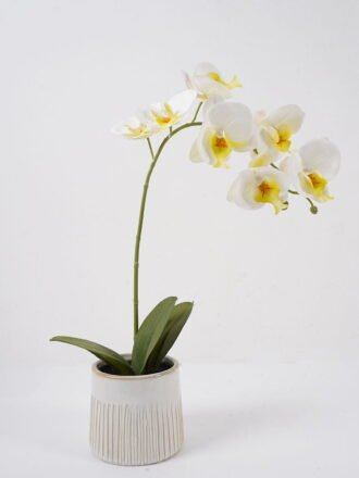 Artificial succulent 30*30*45cm Tequila in PP pot/21 lvs GS-41924002 2025Jan 3,000+ sqm showroom with thousands of artificial flowers, plants & trees ready for global sourcing.