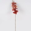 Artificial Flower Phalaenopsis single stem GS-35124015-R1_1 Artificial Flower 15*102cm Phalaenopsis single stem GS-35124015-R1 Single Flowers YeahFlower is one of Chinese leading OEM manufacturers and exporters , supplying the silk flowers, wholesale artificial trees