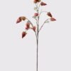 Artificial Flower 40*40*89cm Poha single stem GS-35124017-R1 2024Dec YeahFlower is one of Chinese leading OEM manufacturers and exporters , supplying the silk flowers, wholesale artificial trees
