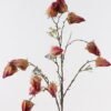 Artificial Flower 40*40*89cm Poha single stem GS-35124017-R1 2024Dec YeahFlower is one of Chinese leading OEM manufacturers and exporters , supplying the silk flowers, wholesale artificial trees