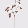 Artificial Flower 40*40*89cm Poha single stem GS-35124017 2024Dec YeahFlower is one of Chinese leading OEM manufacturers and exporters , supplying the silk flowers, wholesale artificial trees