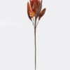 Artificial Flower Protea cynaroides single stem GS-35124020-O1_3 Artificial Flower 26*26*90cm Protea cynaroides single stem GS-35124020-O1 2024Dec YeahFlower is one of Chinese leading OEM manufacturers and exporters , supplying the silk flowers, wholesale artificial trees